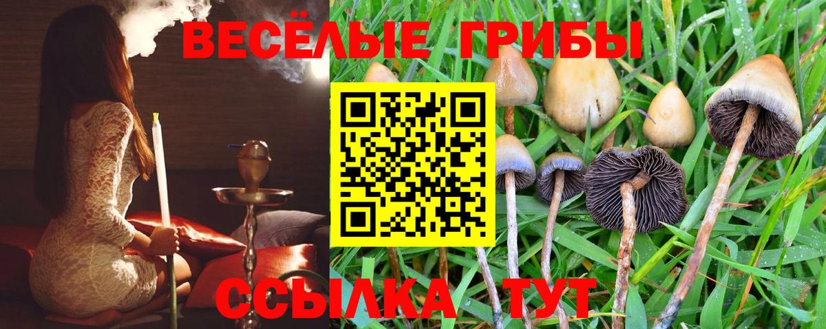 Галлюциногенные грибы MAGIC MUSHROOMS  Галлюциногенные грибы Cubensis  Донецк  Вход с VPN 