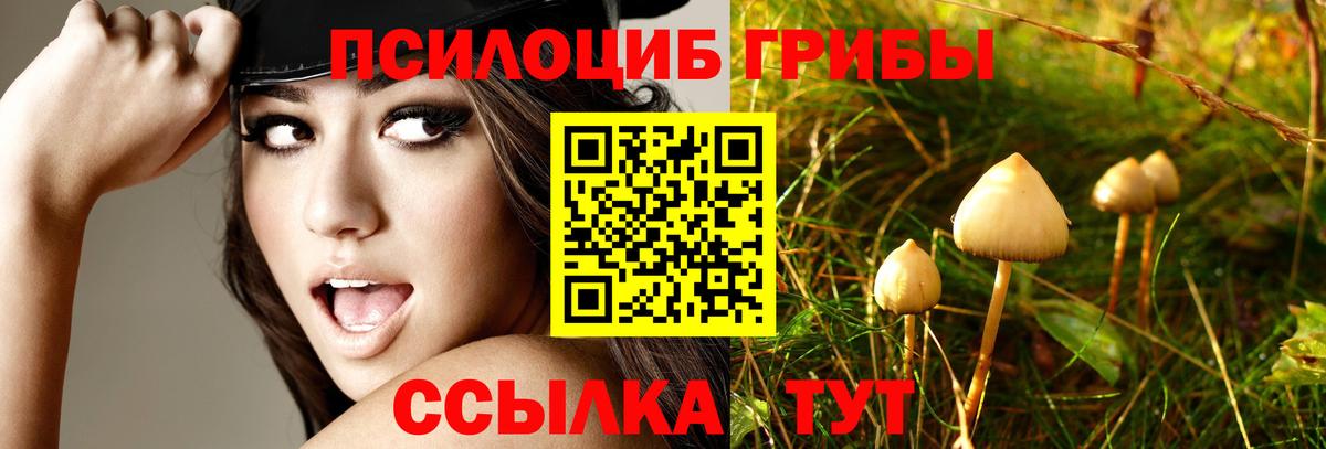 Псилоцибиновые грибы MAGIC MUSHROOMS Донецк